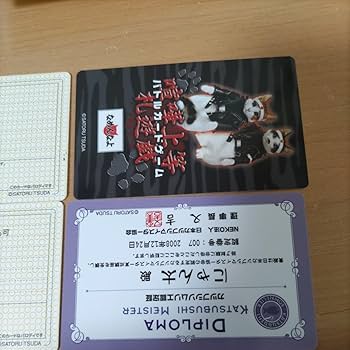 懐かし！なめ猫　カード なめんなよカードコレクション 昭和の人気猫なめ猫カードです
